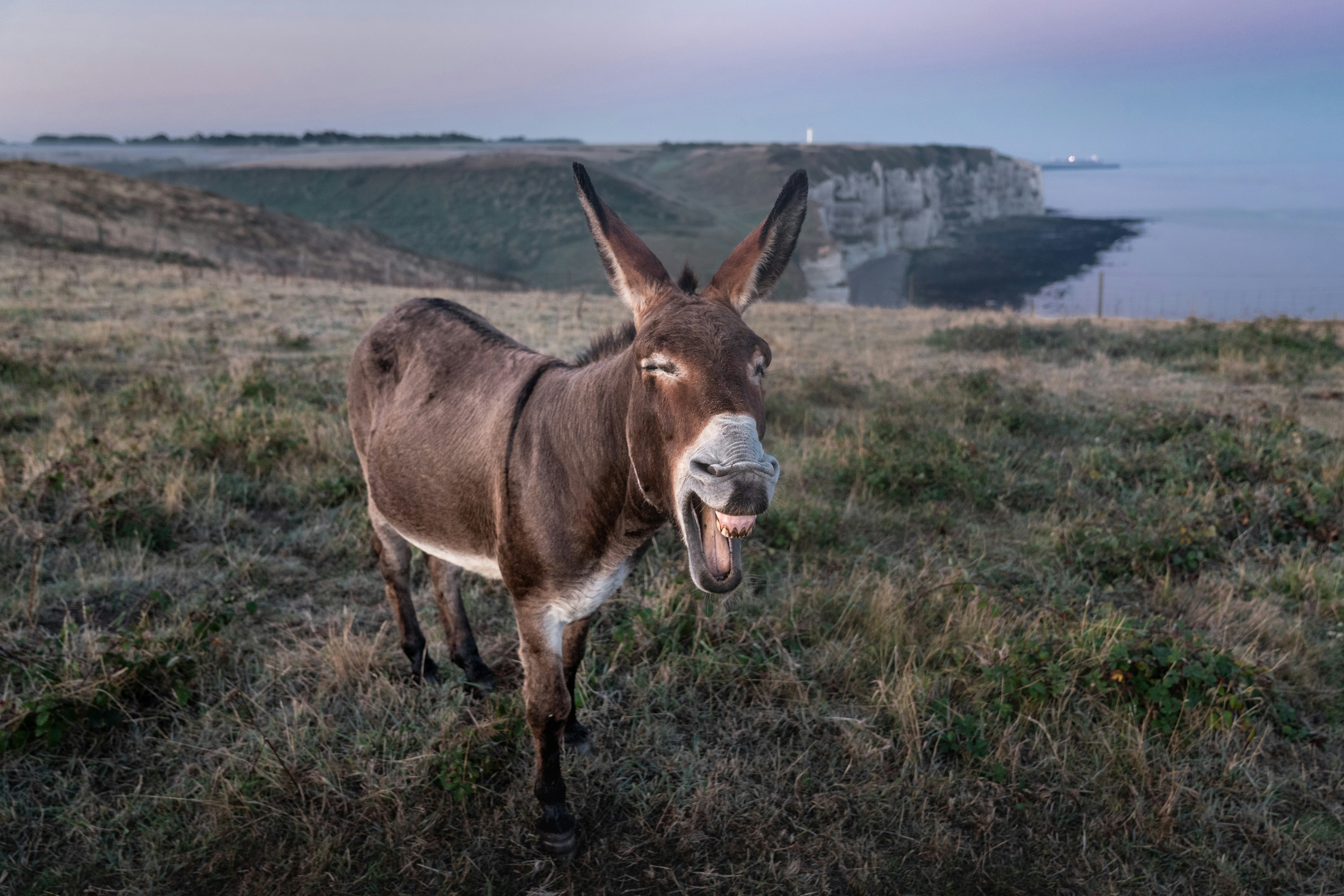 Photo by Ansgar Scheffold on Unsplash