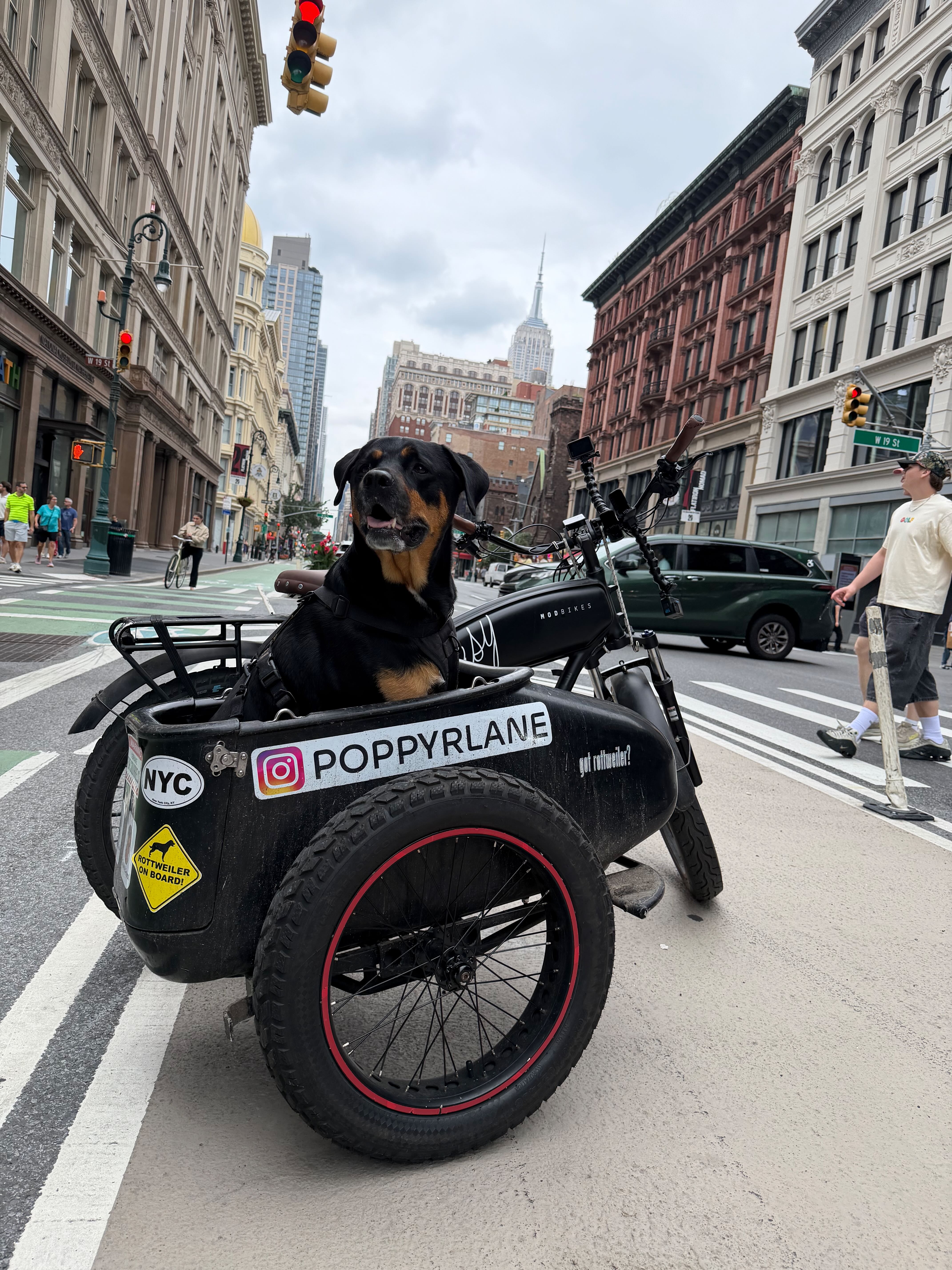 Poppy ride up 6th Avenue from downtown.