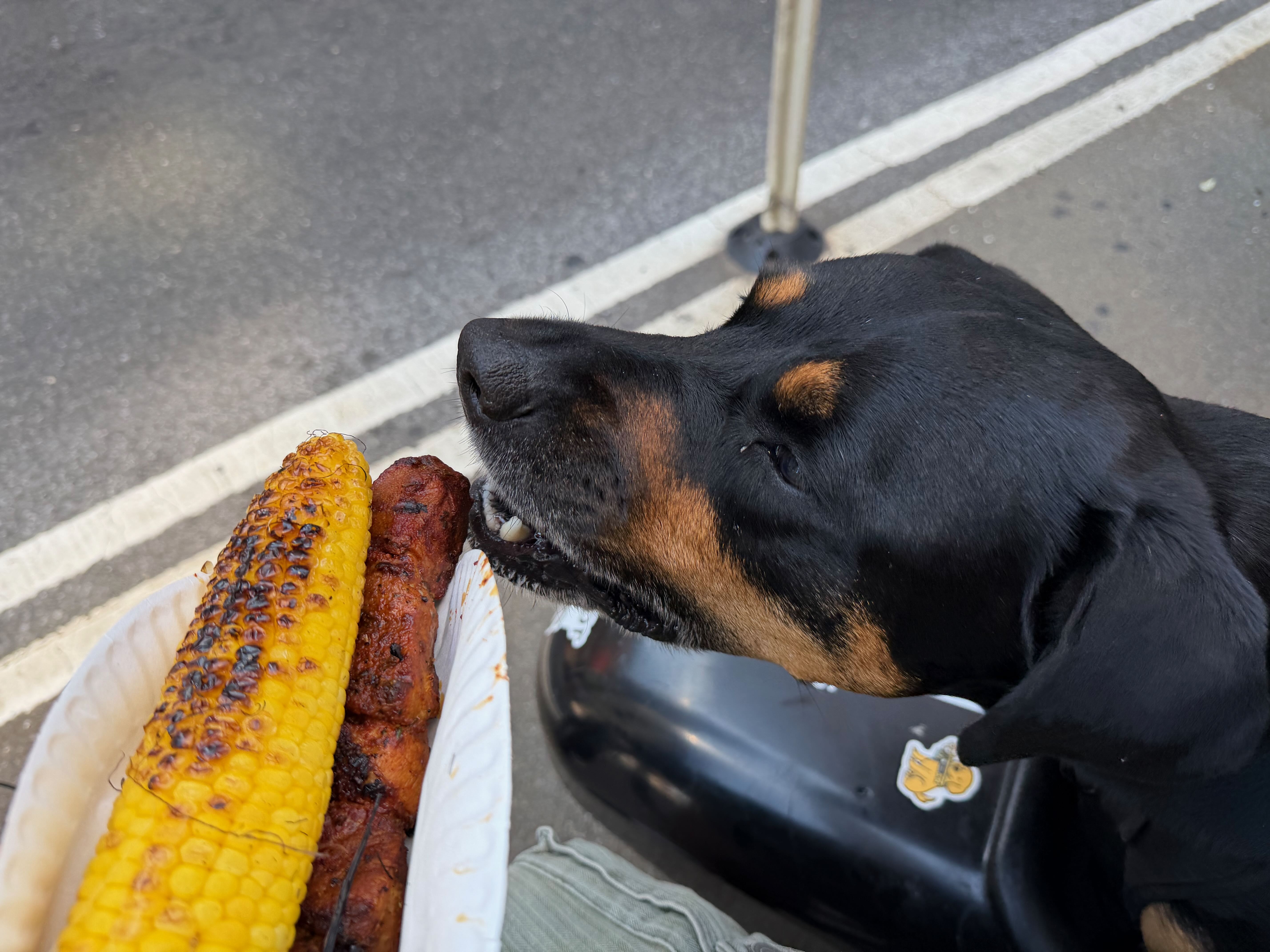 Pork and street corn is the best!!